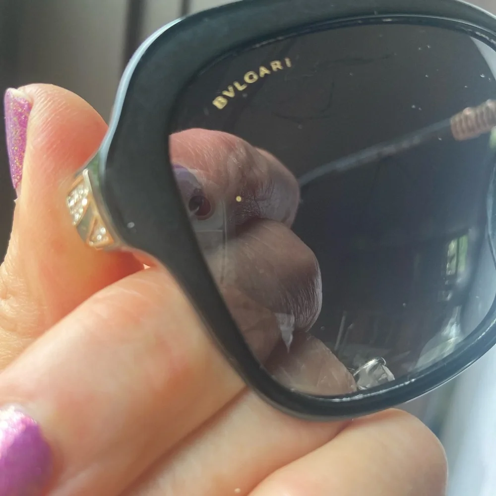 BVLGARI chic bulgari